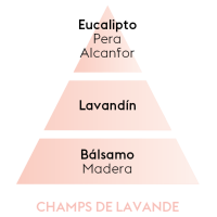 PIRAMIDE OLFATIVA CHAMPS LAVANDE Maison Berger