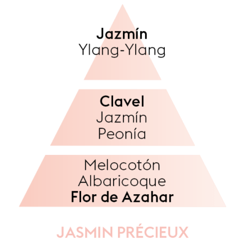 PIRAMIDE OLFATIVA JASMINE PRECIEUX Maison Berger