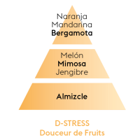 PIRAMIDE OLFATIVA D-STRESS MAISON BERGER