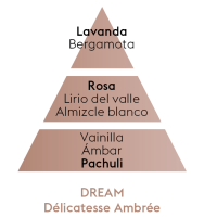 PIRAMIDE OLFATIVA DREAM MAISON BERGER