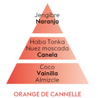 PIRAMIDE OLFATIVA ORANGE&CANELLE MAISON BERGER