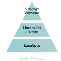 PIRAMIDE OLFATIVA CITRONNELLE Maison Berger