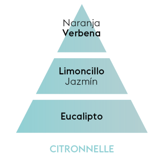 PIRAMIDE OLFATIVA CITRONNELLE Maison Berger