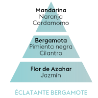 PIRAMIDE OLFATIVA ECLATANTE BERGAMOTE Maison Berger