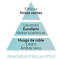 PIRAMIDE OLFATIVA FRAICHEUR EUCALYTUS Maison Berger