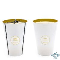 6662 VELA XXL GOLD TOBACCO & AMBER 4 KG Cereria Mollá 1899