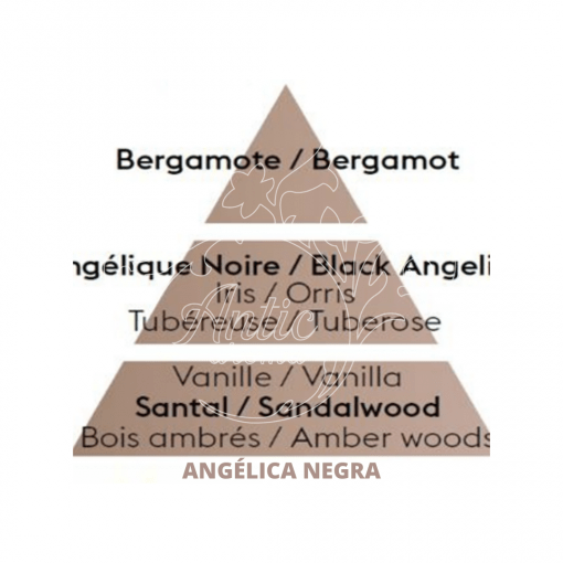 Piramide olfativa Angélica negra Maison Berger
