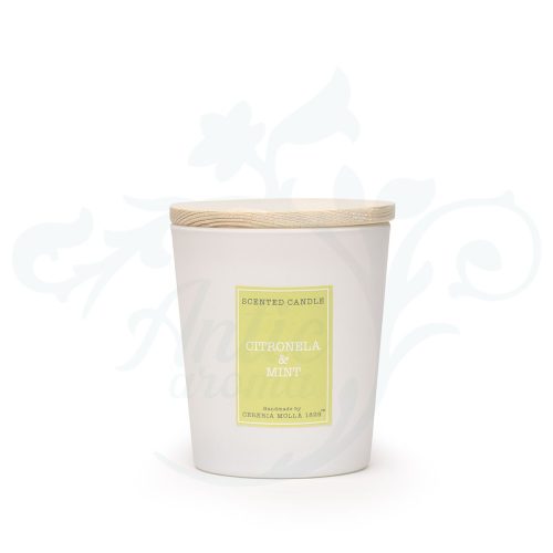 V1301 VELA CONICA CITRONELA & MINT Cerería Mollá