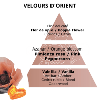 PIRAMIDE OLFATIVA VELOURS D'ORIENT LAMPE BERGER