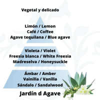 Piramide olfativa Jardñin d Agaves