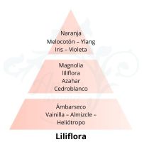 PIRAMIDE OLFATIVA LILIFLORA Lampe Berger