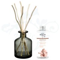 7719 BOUQUET AROMA DREAM Maison Berger