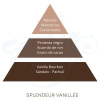 SPLENDEUR VANILLÉE_PIRAMIDE_OLFATIVA_MAISON_BERGER_ANTIC-AROMA