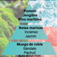 PIRAMIDE OLFATIVA BLEU SÉDUCTION MAISON BERGER_ANTIC-AROMA