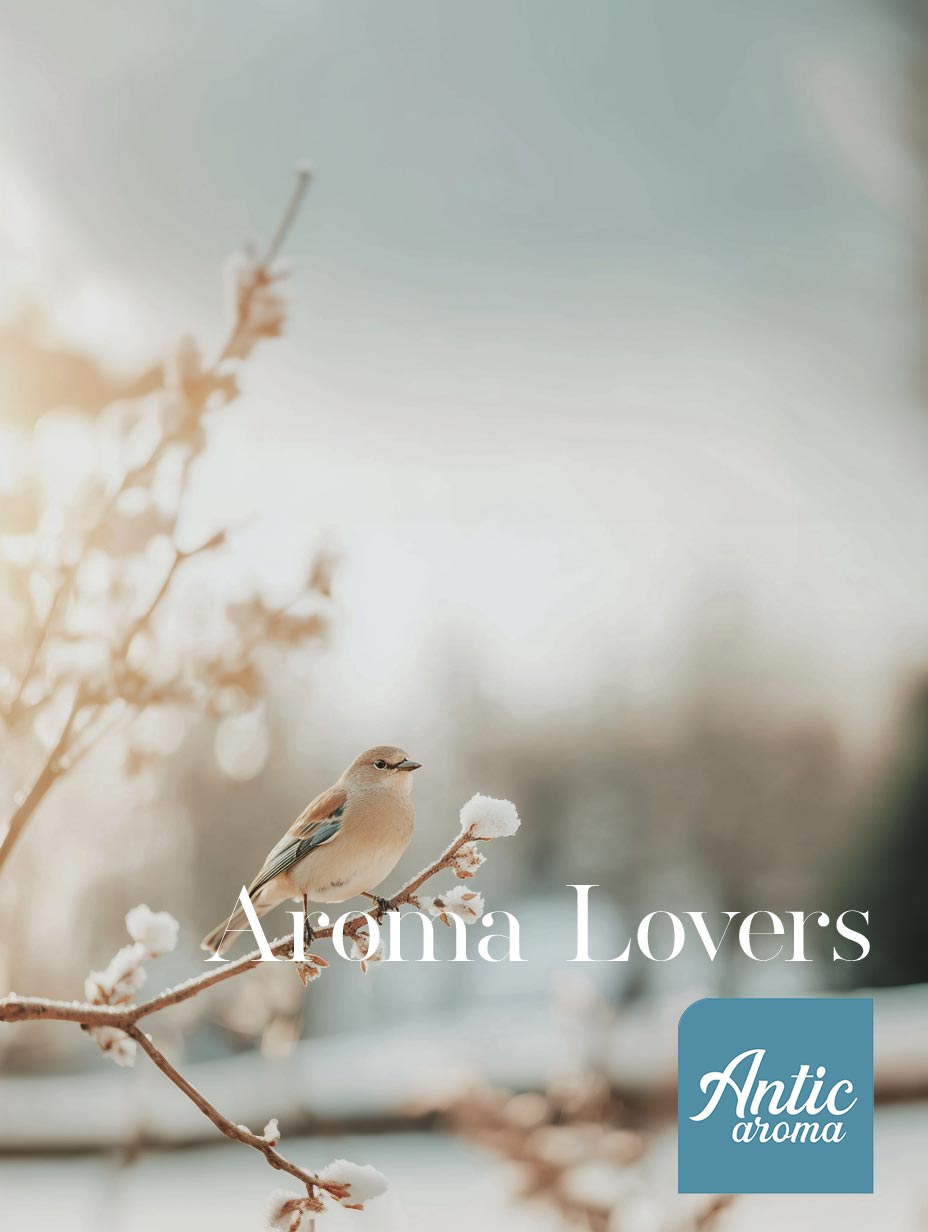 programa descuentos aroma lovers