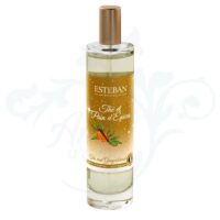 SPRAY DE AMBIENTE THE ET PAIN D'EPICES 75 ML Esteban París