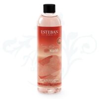 TOK-005 RECAMBIO BOUQUET TERRE D'OCRE KARITÉ 250 ML Esteban París