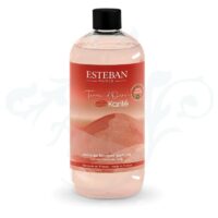 TOK-006 RECAMBIO BOUQUET TERRE D'OCRE KARITÉ 500 ML Esteban París