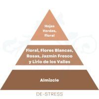 PIRAMIDE OLFATIVA DE-STRESS Cerería Mollá 1899