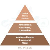 PIRAMIDE OLFATIVA HAPPINESS Cerería Mollá 1899