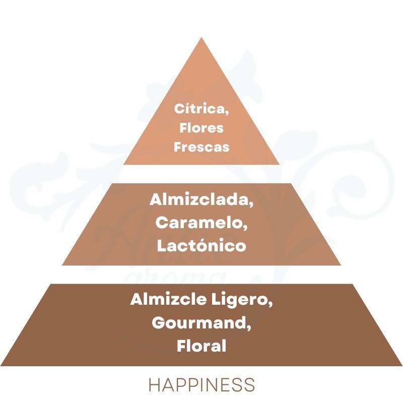 PIRAMIDE OLFATIVA HAPPINESS Cerería Mollá 1899