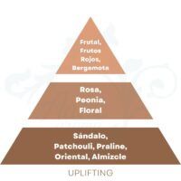 PIRAMIDE OLFATIVA UPLIFTING Cerería Mollá 1899