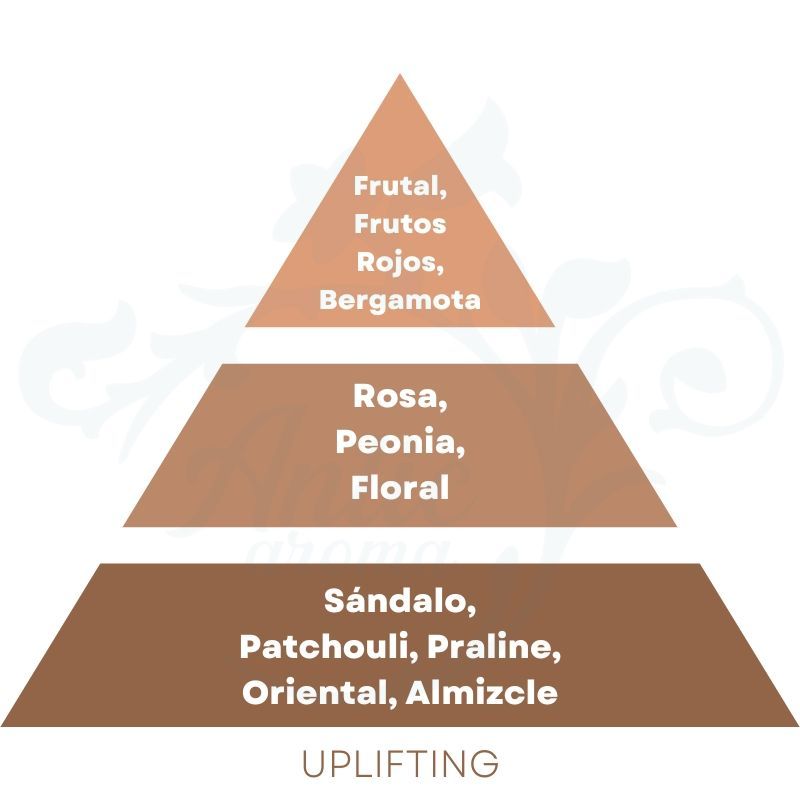 PIRAMIDE OLFATIVA UPLIFTING Cerería Mollá 1899